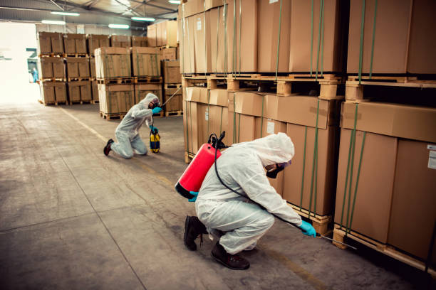 Trusted Pinehurst, NC Pest Control Experts