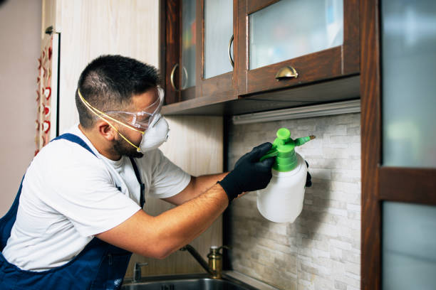 Wasp Removal Services in Pinehurst, NC