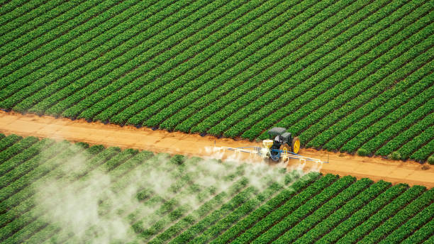 Best Pest Control for Homes  in Pinehurst, NC