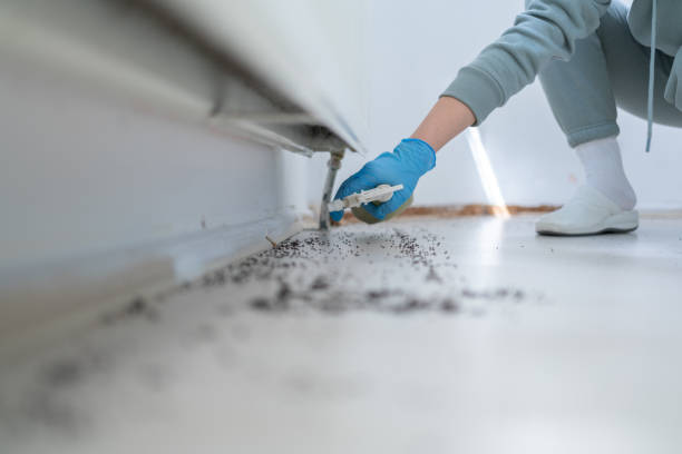 Best Termite Control Services  in Pinehurst, NC