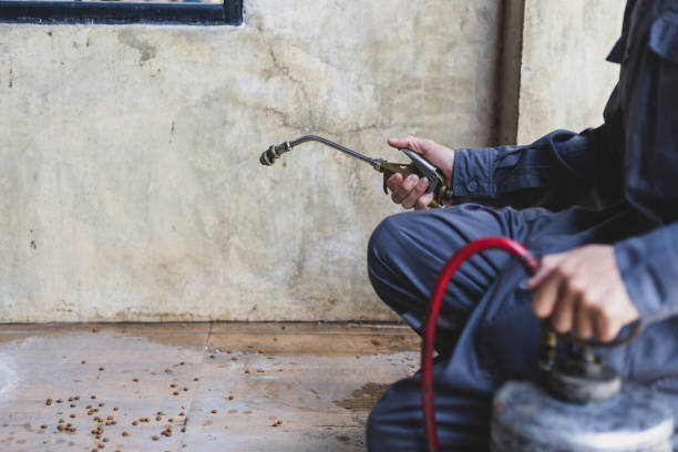 Best Pest Control for Businesses  in Pinehurst, NC